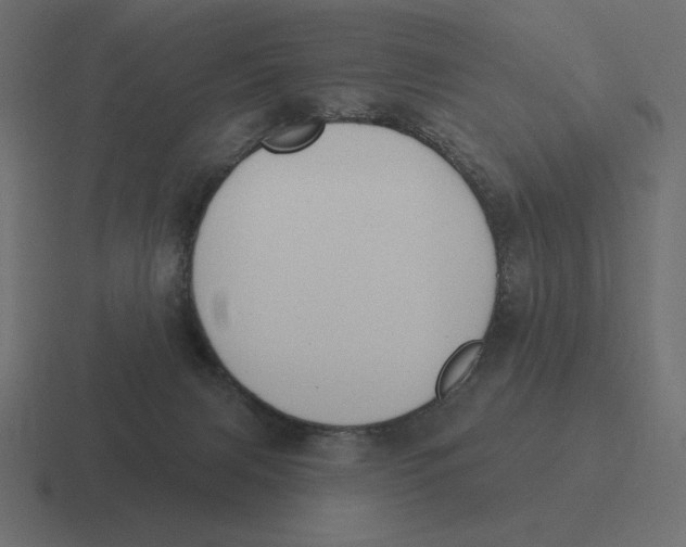 X0000116510079200912292152