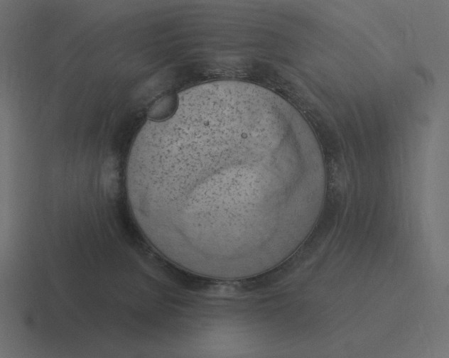 X0000116510080200912292152