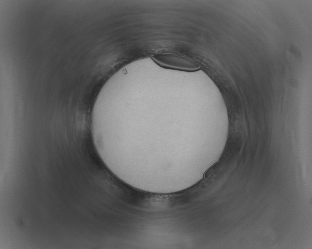 X0000116510084200912292152