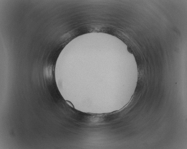 X0000116510094200912292153