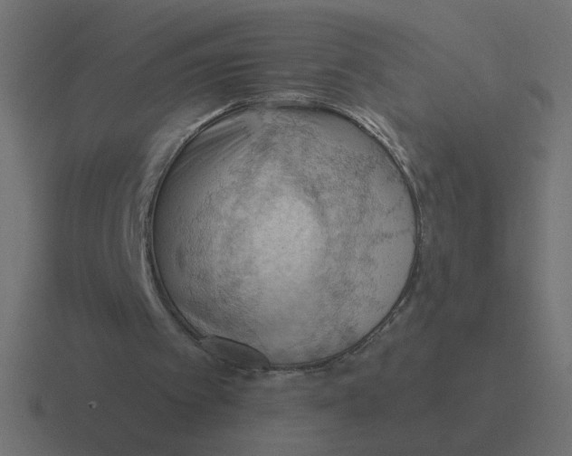 X0000116510097200912292152