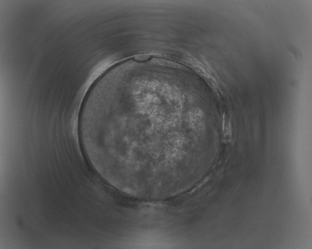 X0000116510099200912292152