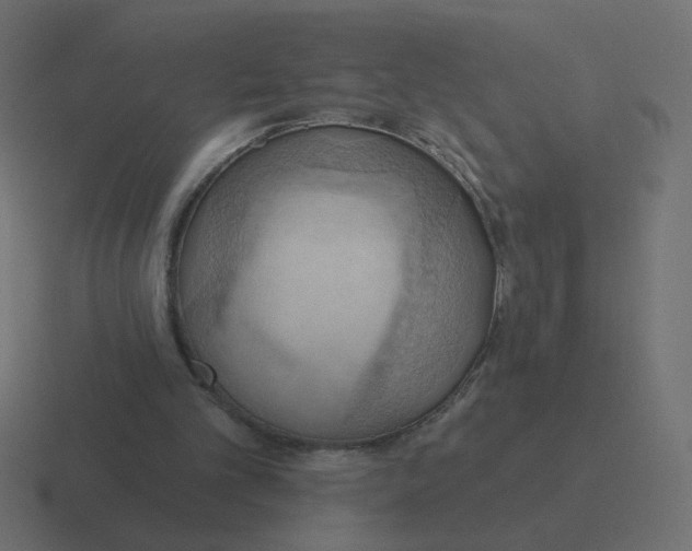 X0000116510101200912292152