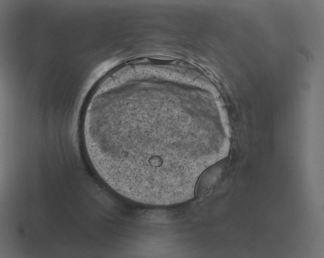 X0000116510104200912292152