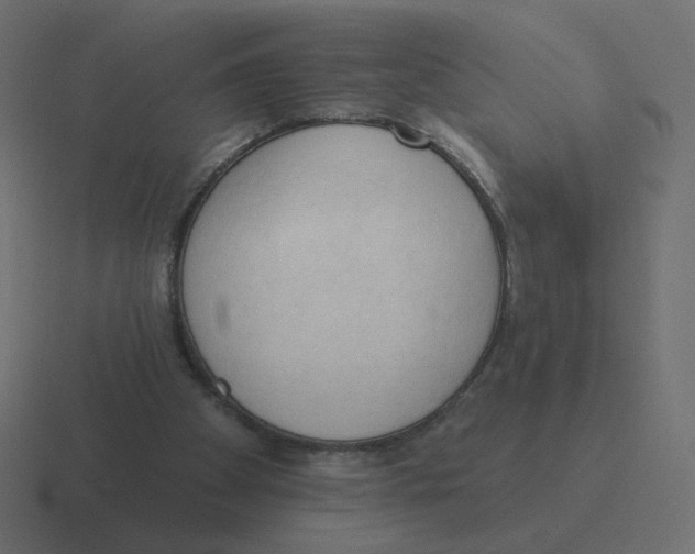 X0000116510105200912292152