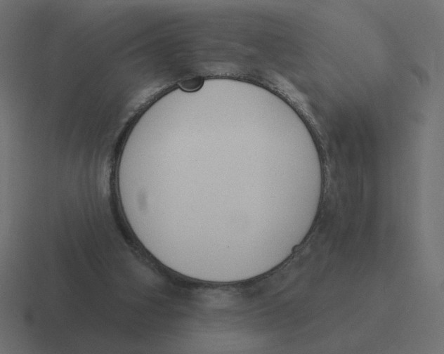 X0000116510106200912292152