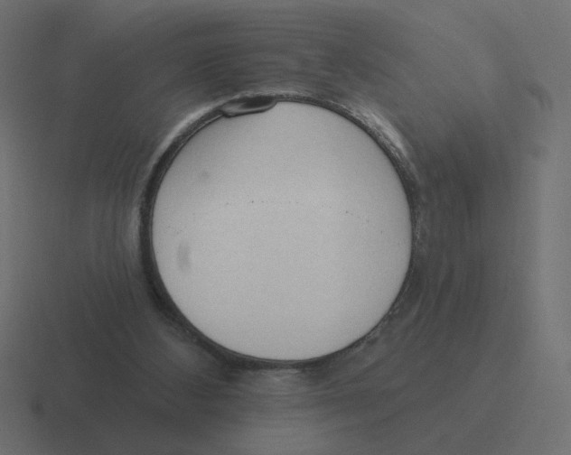 X0000116510108200912292152