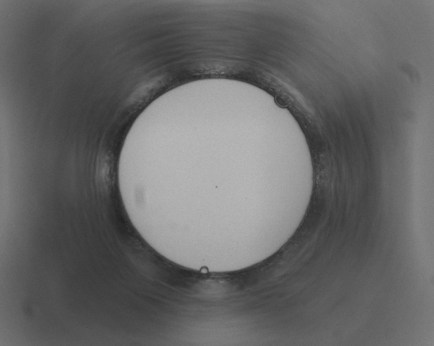 X0000116510119200912292152