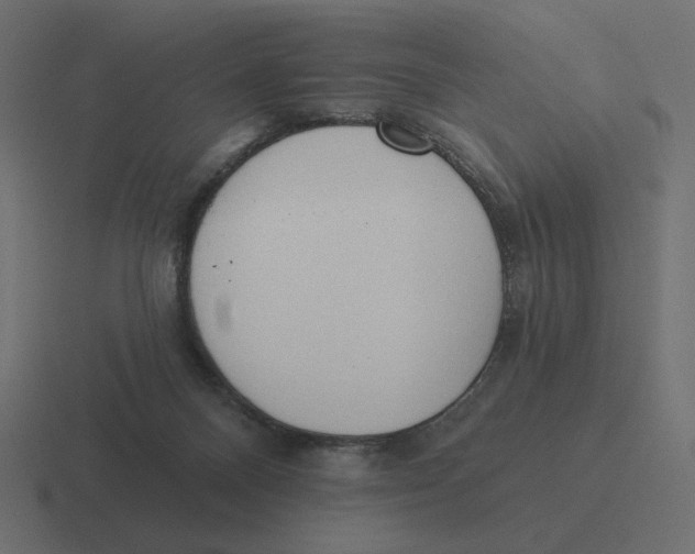 X0000116510120200912292152