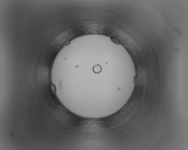 X0000116510121200912292152