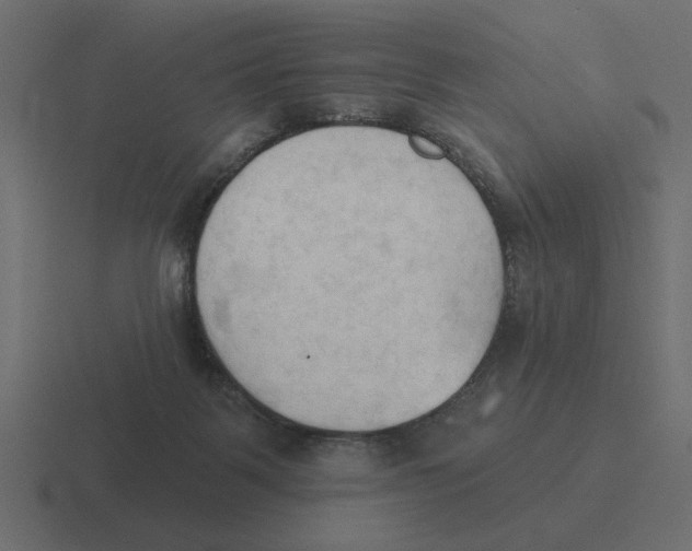 X0000116510123200912292152