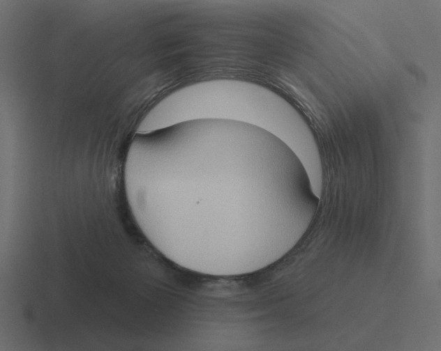 X0000116510125200912292152