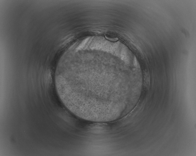 X0000116510128200912292152
