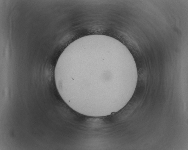 X0000116510133200912292151