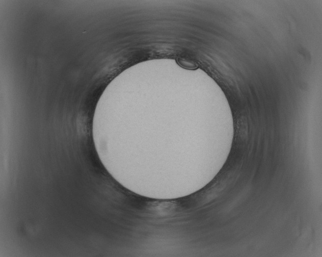 X0000116510135200912292151