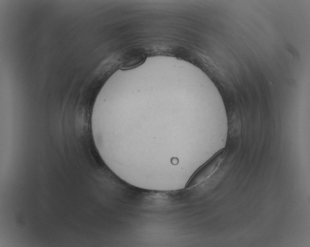 X0000116510140200912292151