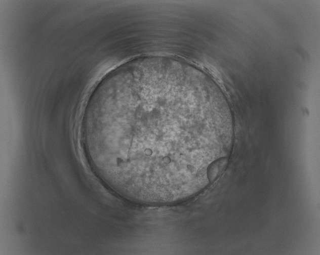 X0000116510145200912292151