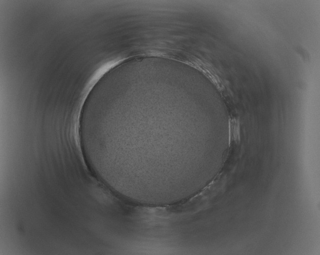 X0000116510147200912292151