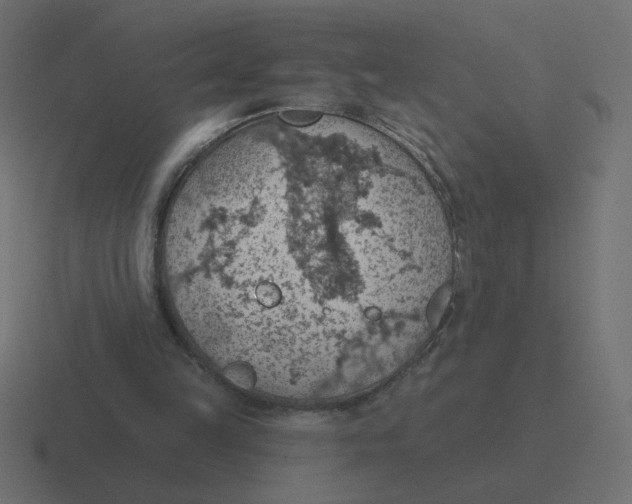 X0000116510149200912292151