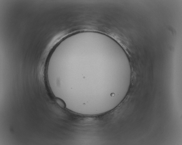 X0000116510151200912292151