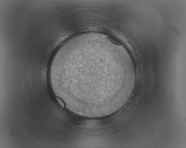 X0000116510154200912292151