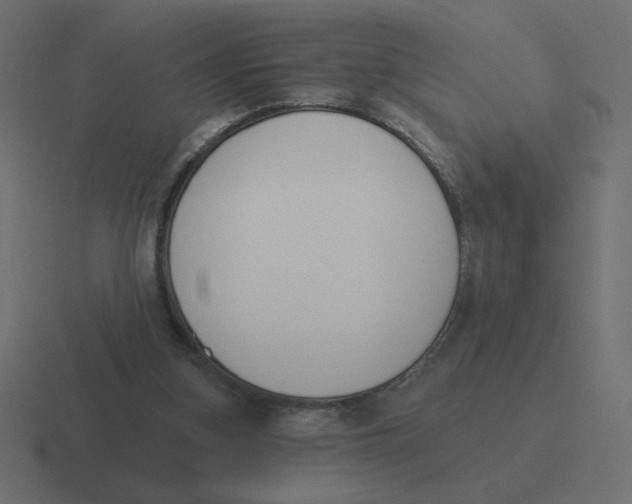 X0000116510155200912292151