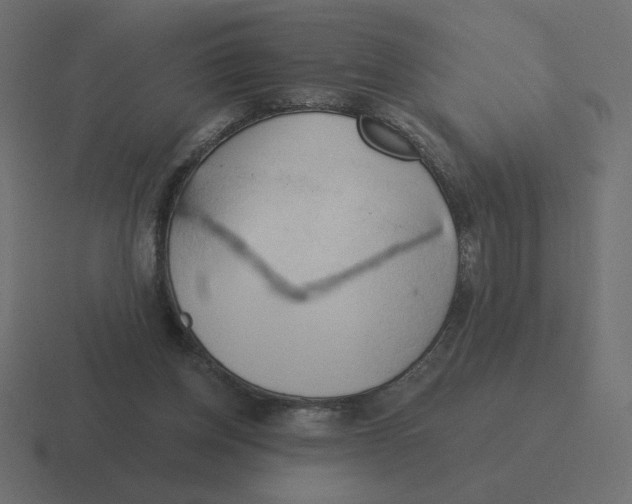 X0000116510158200912292151