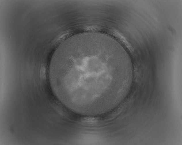 X0000116510161200912292151