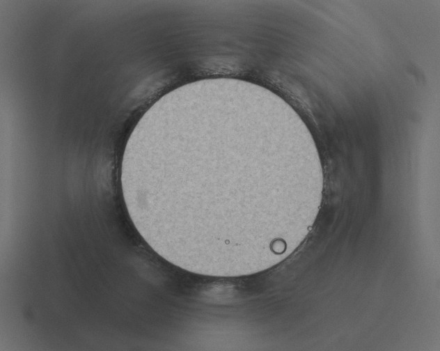 X0000116510162200912292151