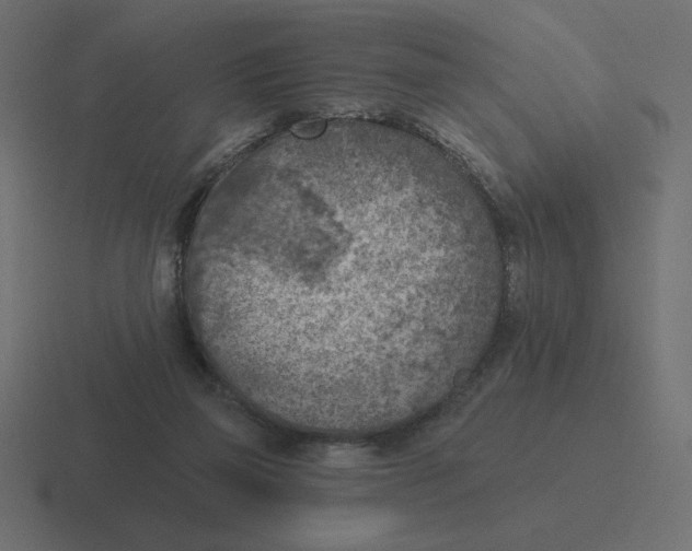 X0000116510165200912292151