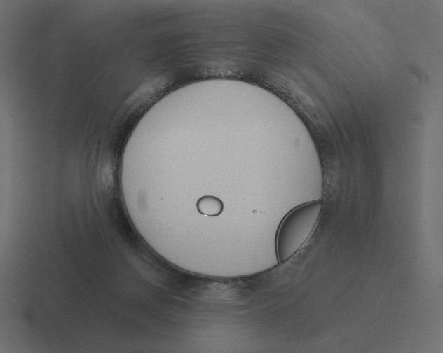 X0000116510166200912292151