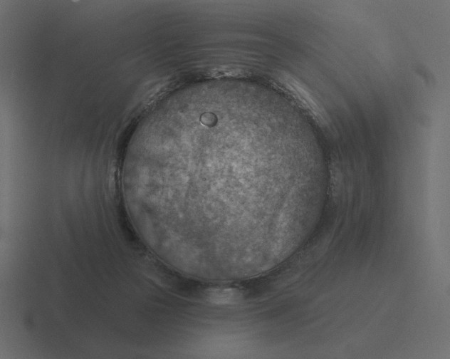 X0000116510169200912292151