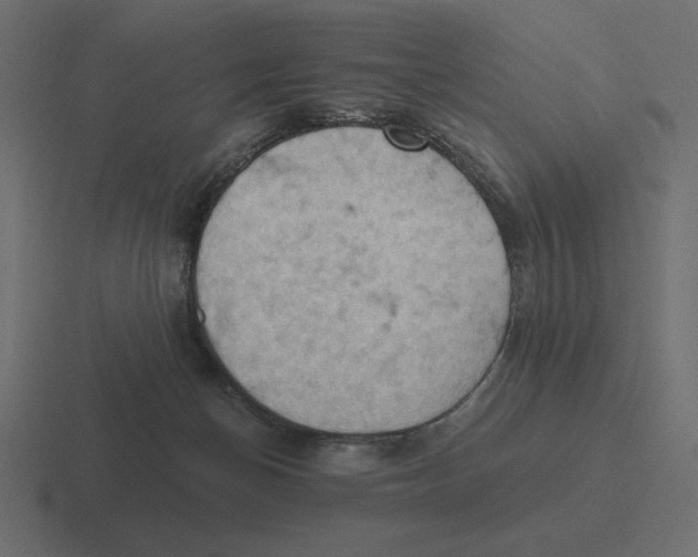 X0000116510174200912292151