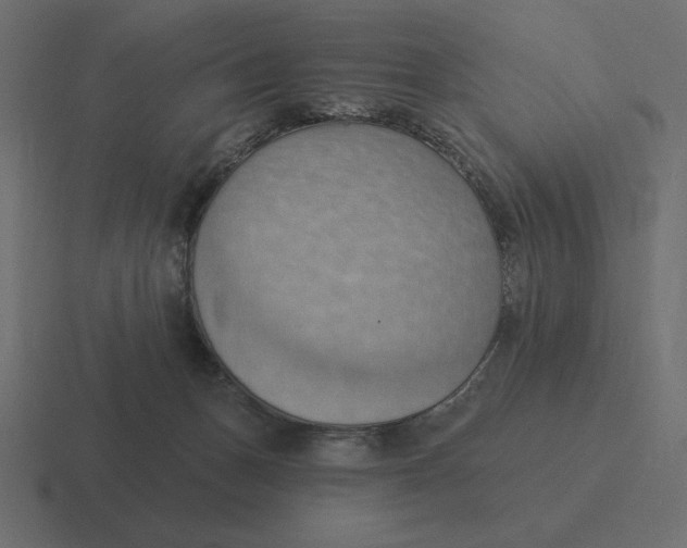 X0000116510175200912292151