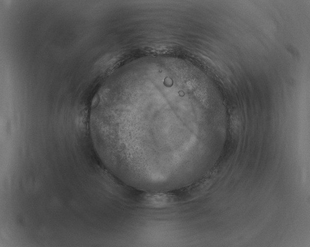 X0000116510181200912292151