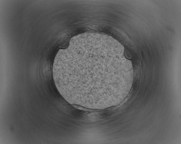 X0000116510186200912292151