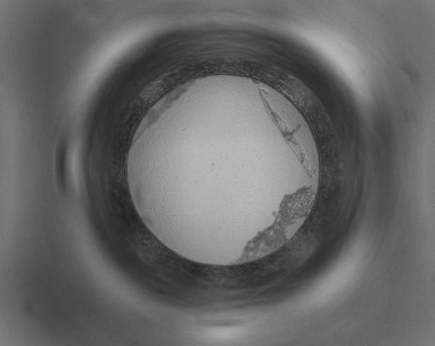 X0000116510189200912292151