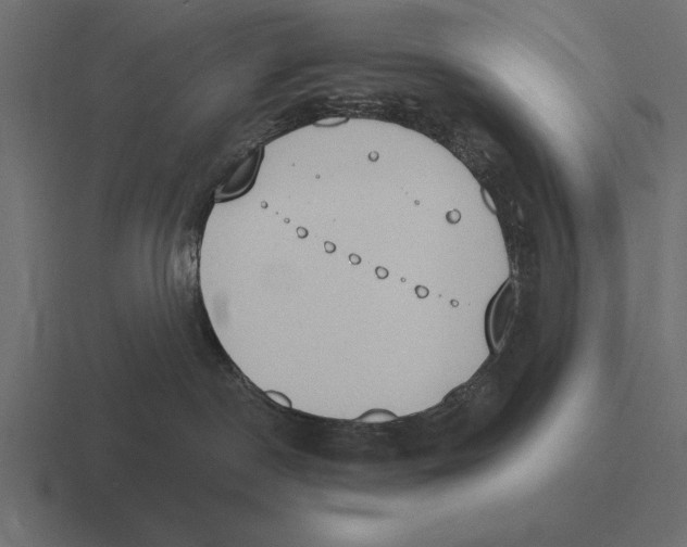 X0000116510190200912292151