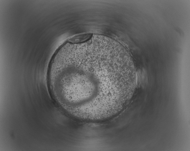 X0000116510195200912292151