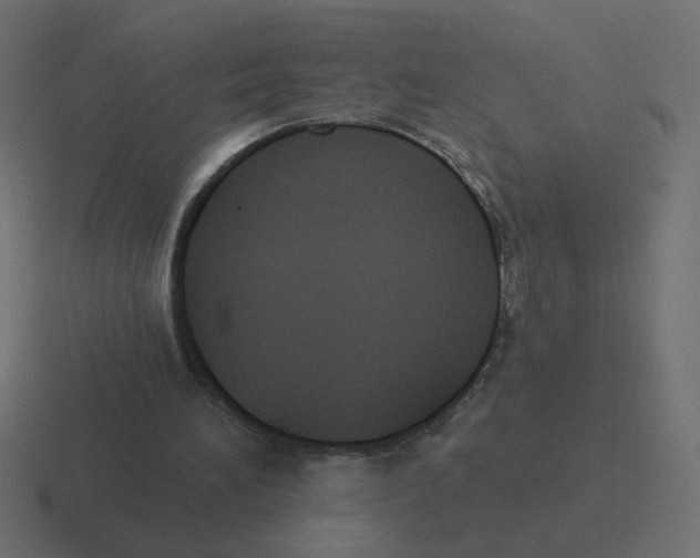 X0000116510196200912292151