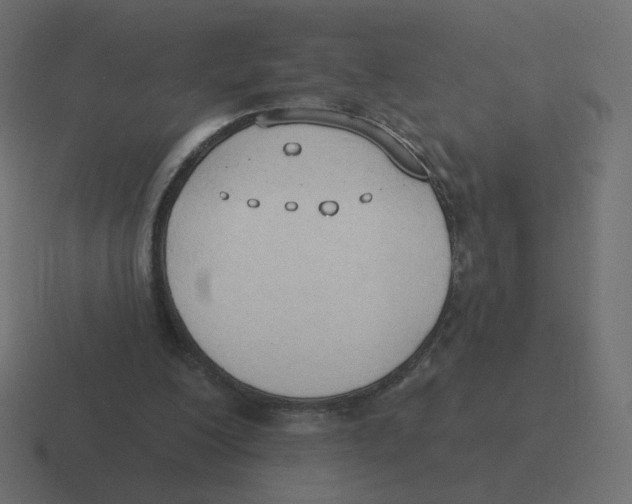 X0000116510200200912292151