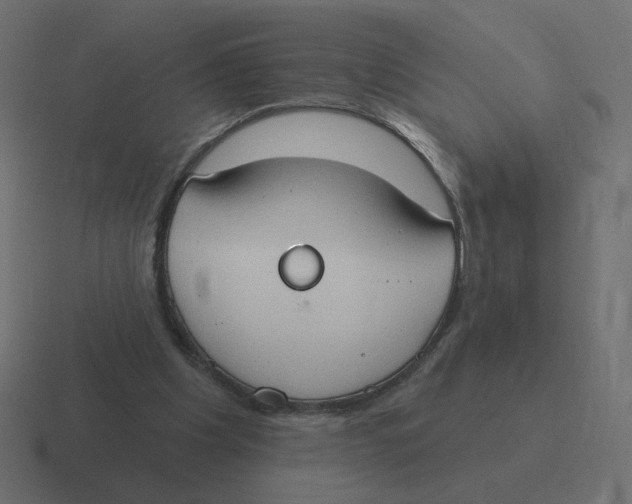 X0000116510201200912292151