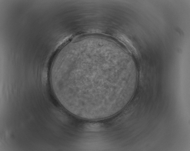 X0000116510202200912292151