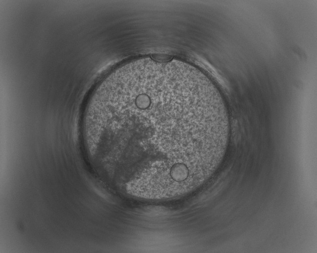 X0000116510203200912292151