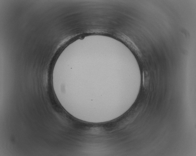 X0000116510204200912292151