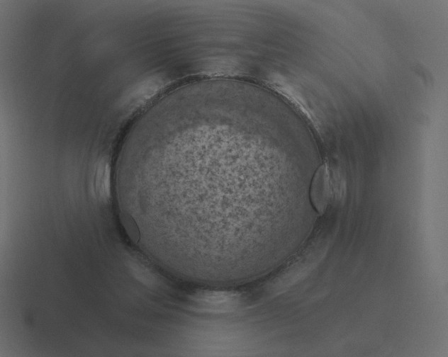 X0000116510205200912292151