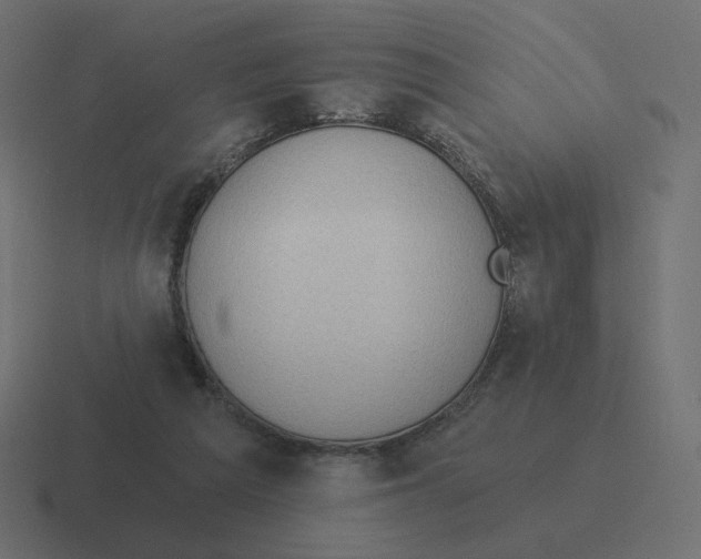 X0000116510209200912292151