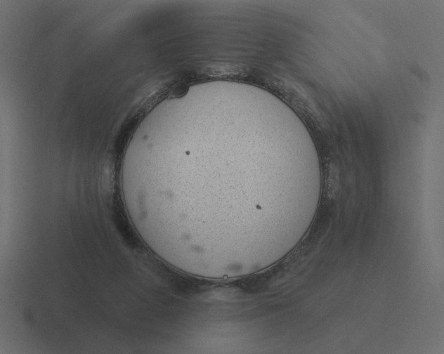 X0000116510210200912292150