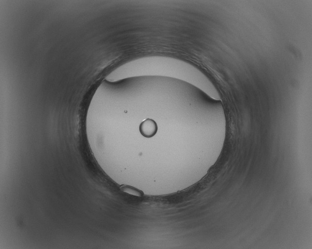 X0000116510211200912292150