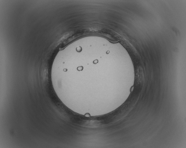 X0000116510212200912292150